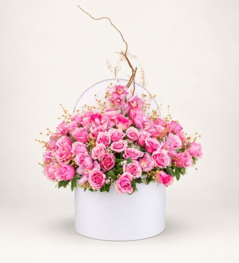 Kutuda 51 Pembe Gül ve Orkide
