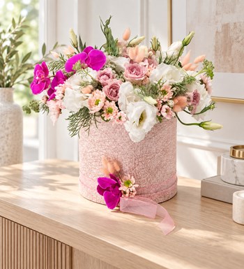 Pink Sparkle yaşam alanında gerçekçi boyut görünümü