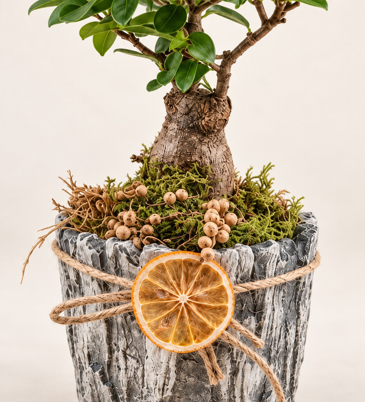 Taş Vazo Bonsai Tasarımı yaprak, gövde ve saksı detay görünümü