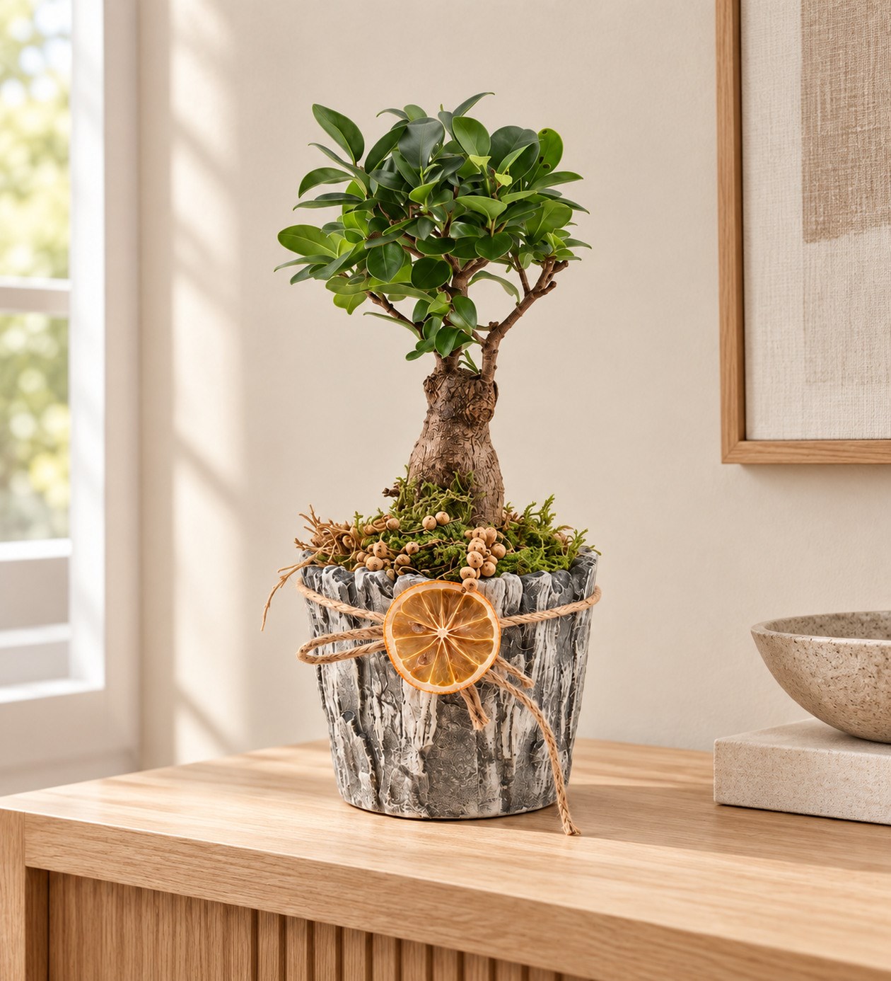 Taş Vazo Bonsai Tasarımı yaşam alanında gerçekçi boyut görünümü