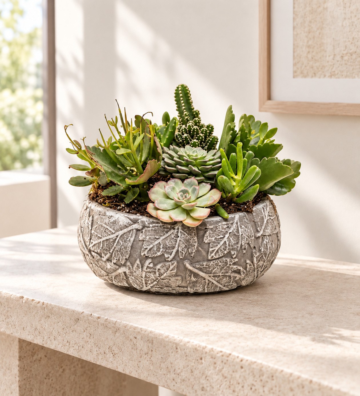 Sukulent Garden yaşam alanında gerçekçi boyut görünümü