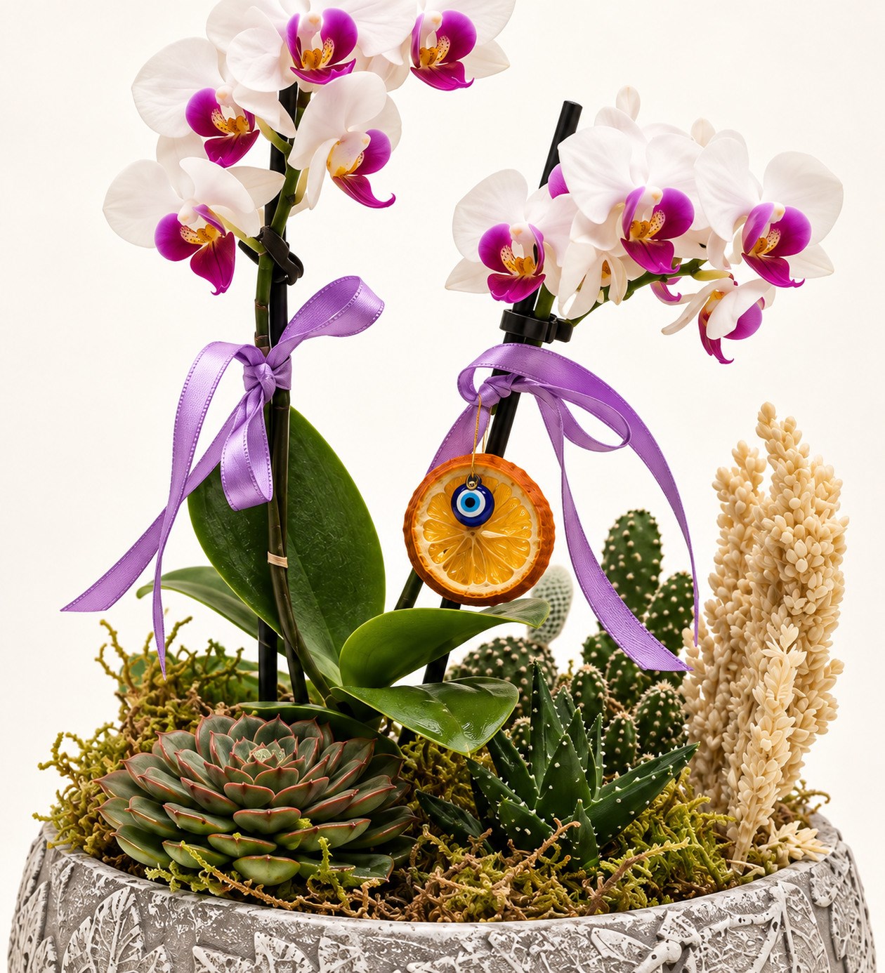 Mini Orkide Garden çiçek, yaprak ve saksı detay görünümü