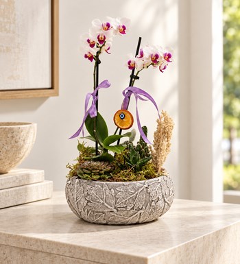 Mini Orkide Garden yaşam alanında gerçekçi boyut görünümü