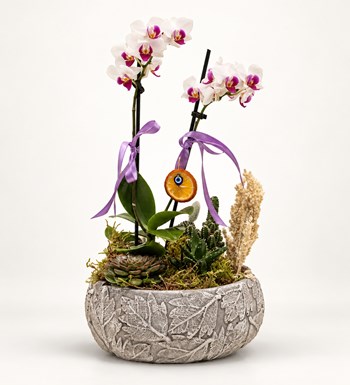 Mini Orkide Garden