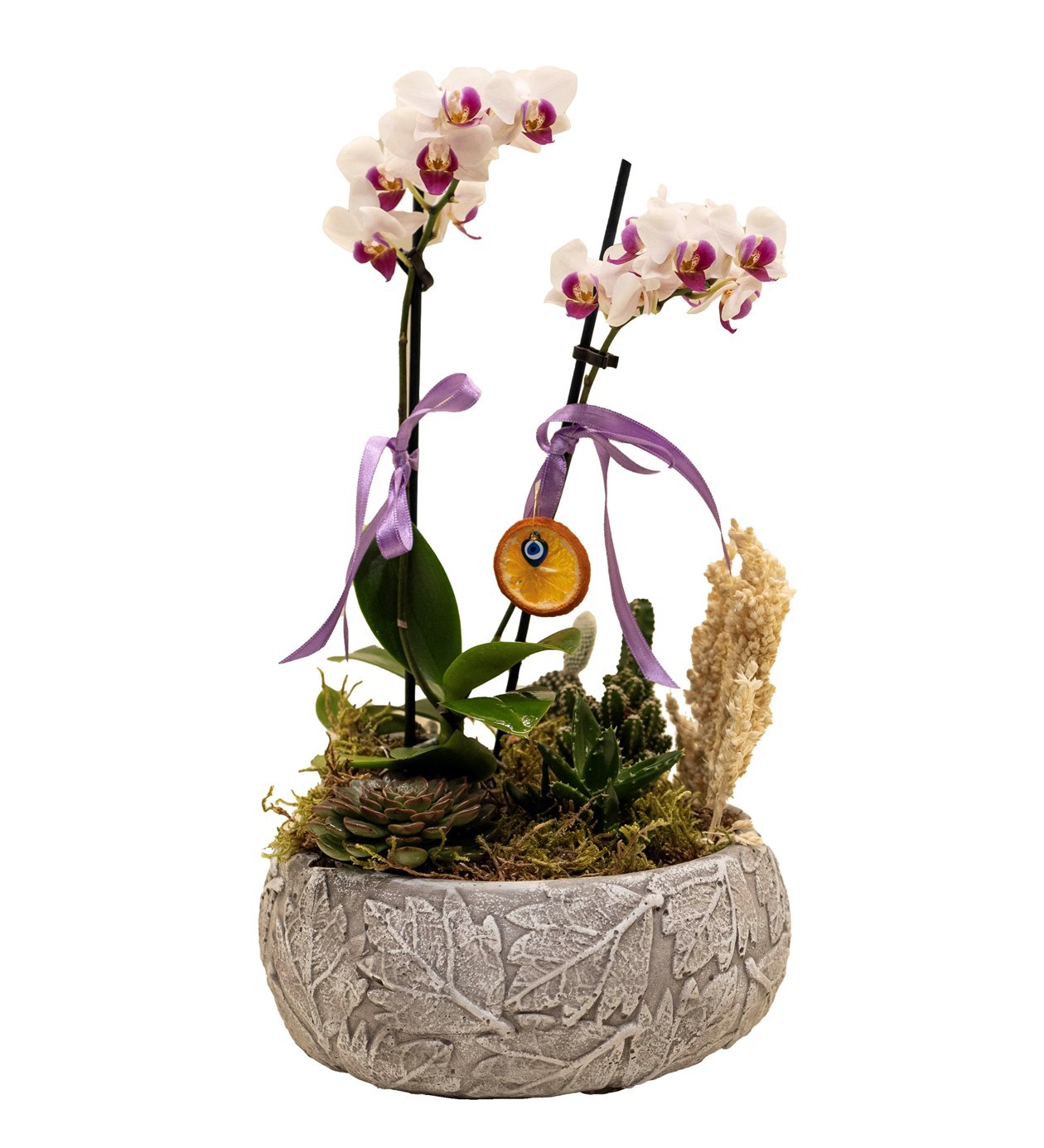 Mini Orkide Garden özgün ürün görünümü