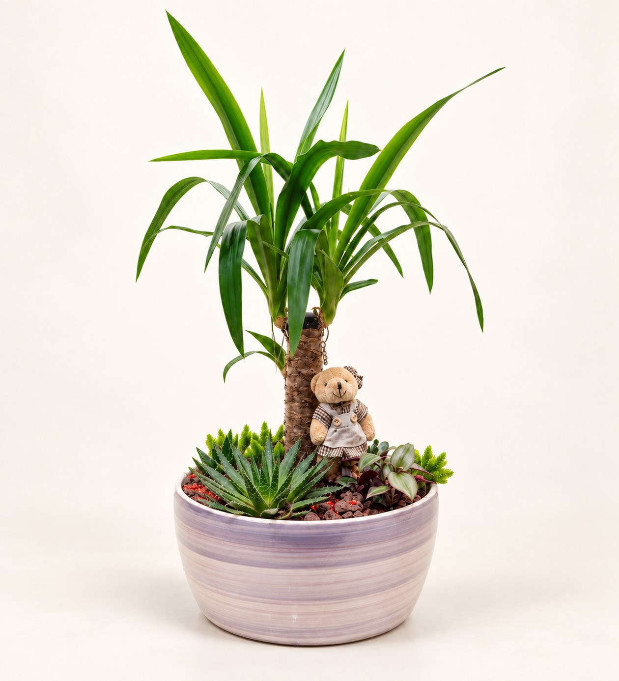 Yucca Bahçesi hafif yan açı ürün görünümü