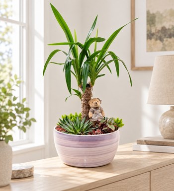 Yucca Bahçesi yaşam alanında gerçekçi boyut görünümü
