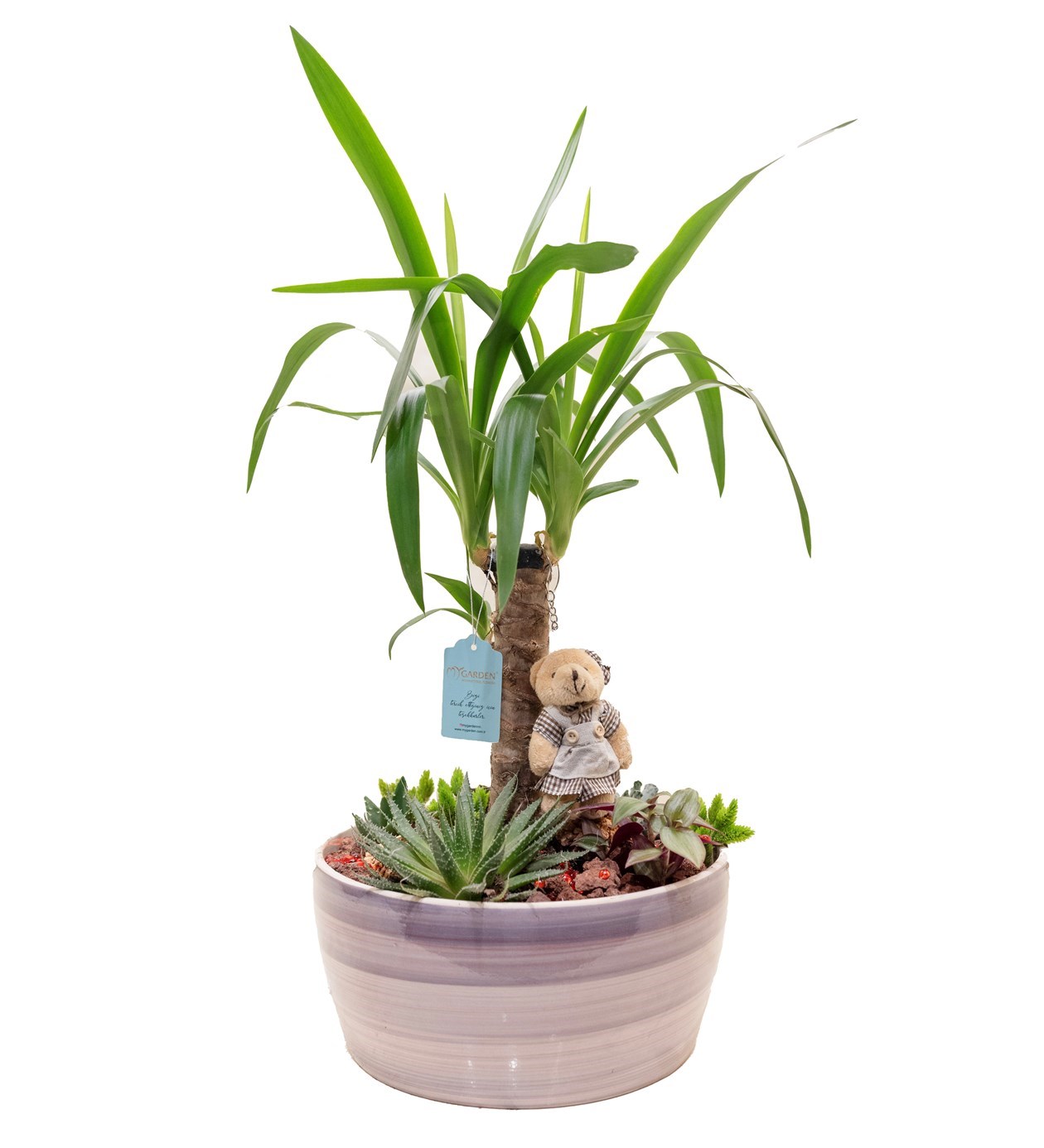 Yucca Bahçesi özgün ürün görünümü