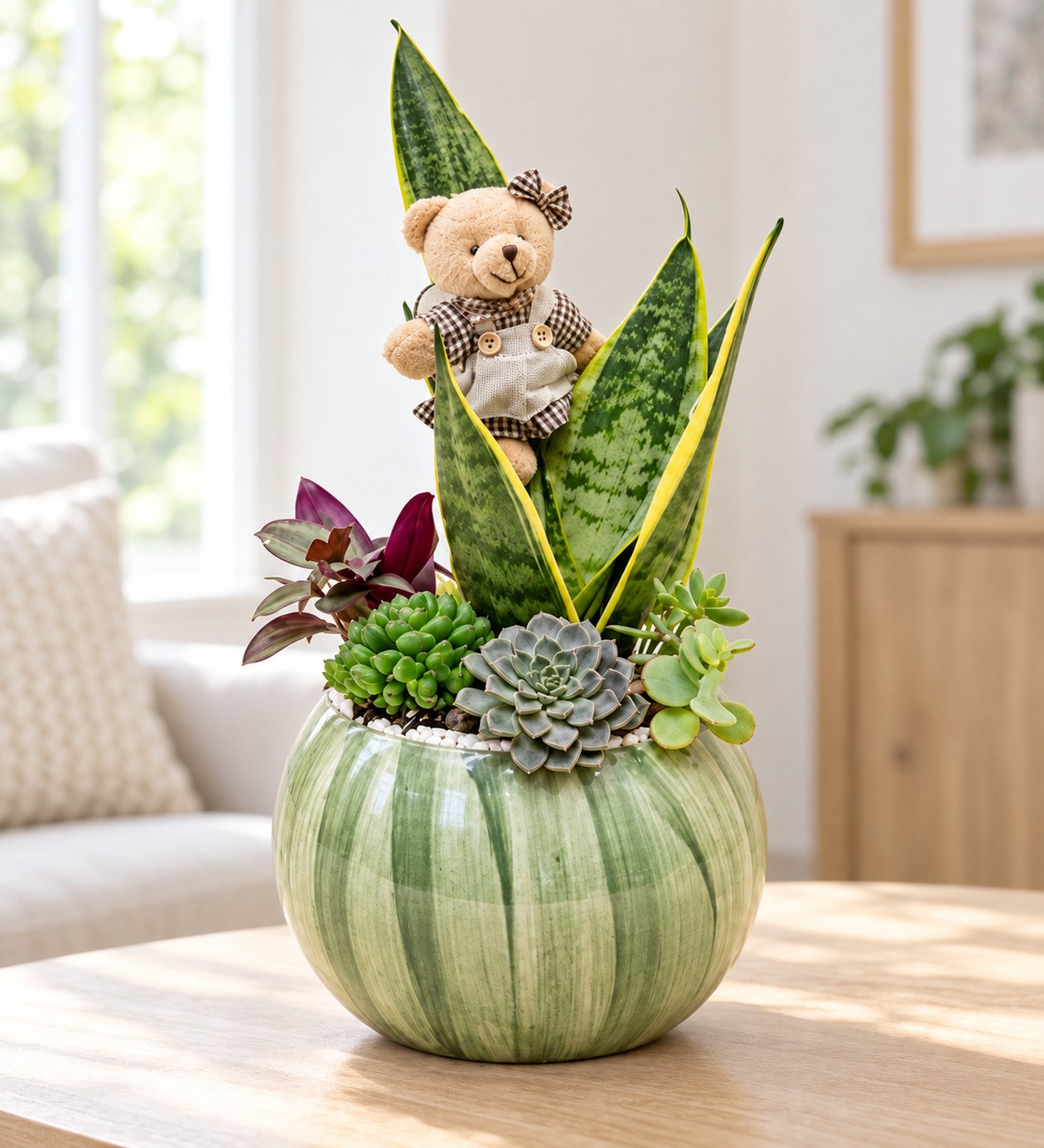 Sanseveria ve Sukulent Tasarımı yaşam alanında gerçekçi boyut görünümü