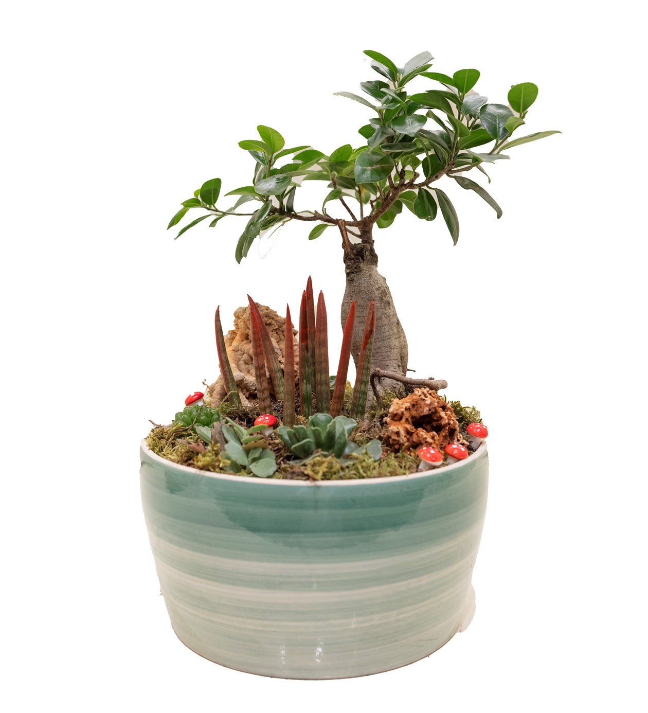 Büyük Boy Bonsai Bahçesi özgün ürün görünümü