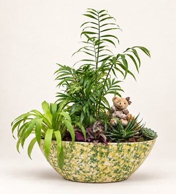 Mini Garden