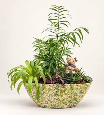 Mini Garden