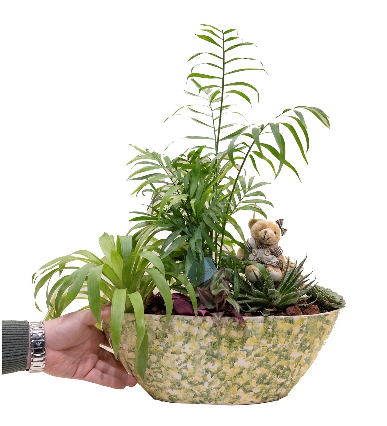 Mini Garden özgün ürün görünümü