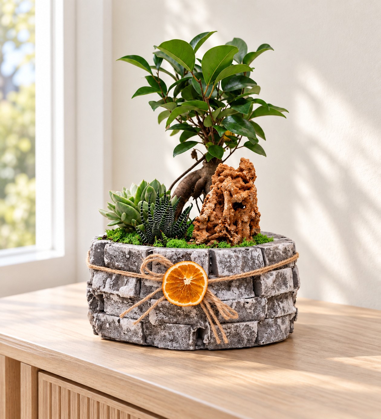Ficus Bonsai Garden yaşam alanında gerçekçi boyut görünümü