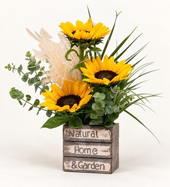 Sunflowers Garden