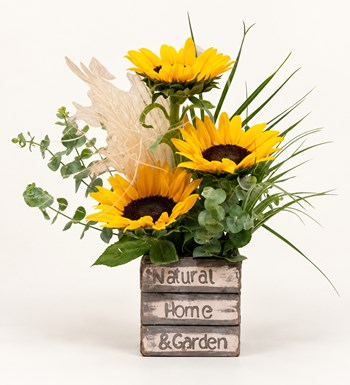 Sunflowers Garden