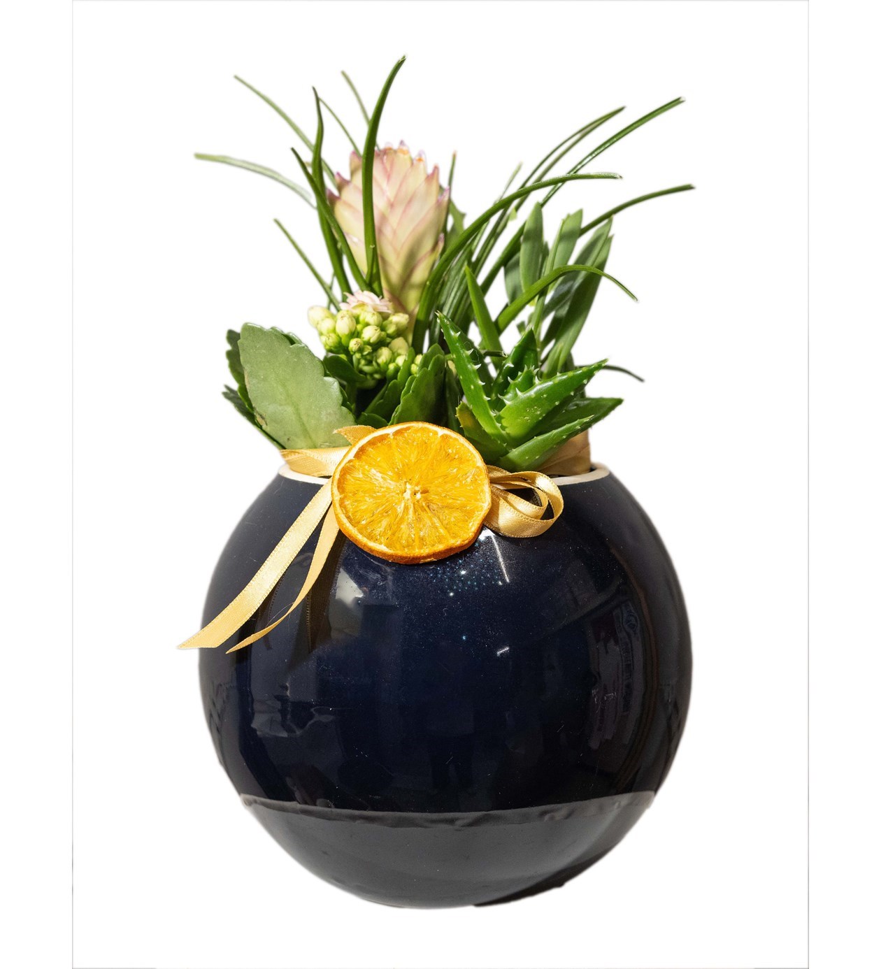 Tillandsia ve Sukulent Tasarımı özgün ürün görünümü
