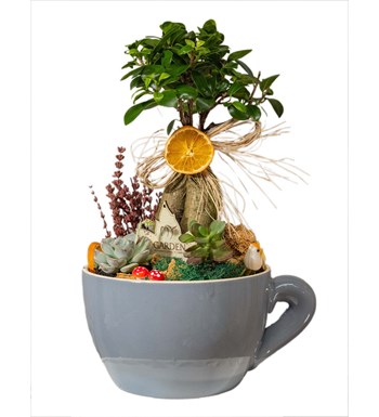Bonsai Garden özgün ürün görünümü