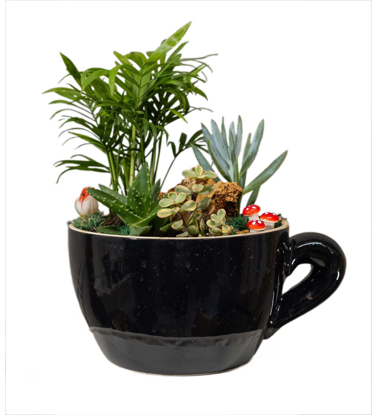 Seramik Vazoda Mini Garden özgün ürün görünümü