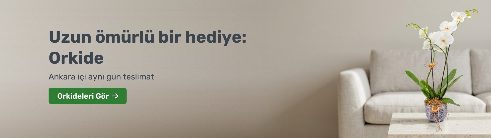 Beyaz orkide. Uzun ömürlü bir hediye, Ankara içi aynı gün teslimat.