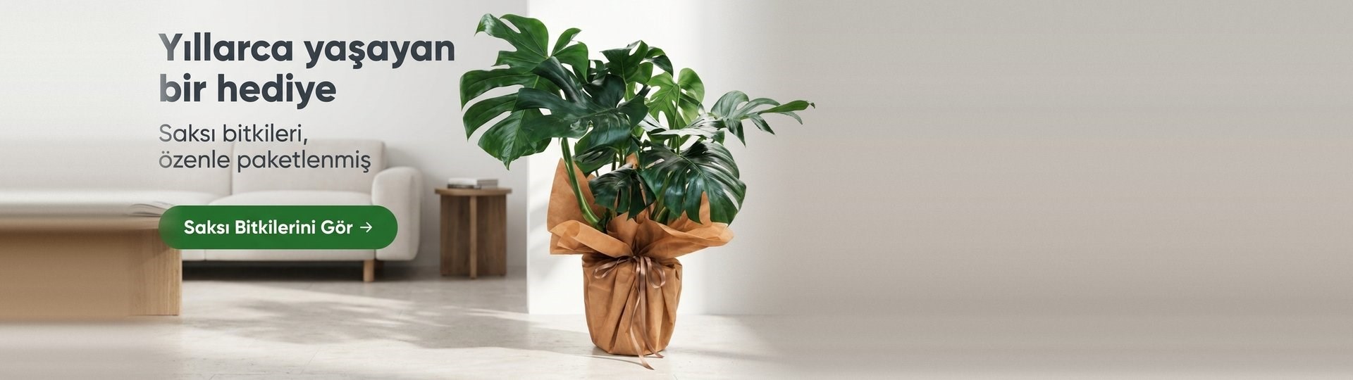 Kraft kağıda sarılı monstera. Yıllarca yaşayan bir hediye: saksı bitkileri.